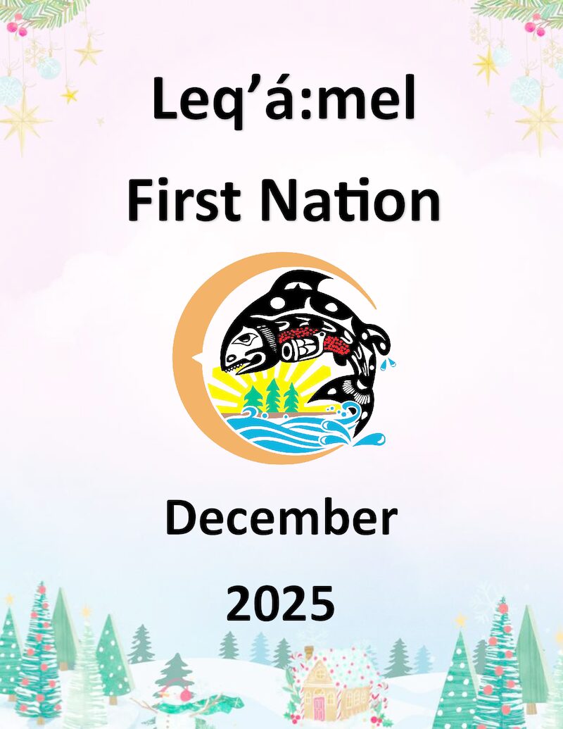 December 2025 newsletter cover